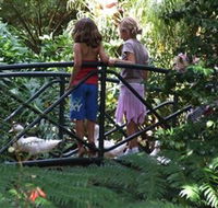 EG Waterhouse National Camellia Garden - Darwin Holiday