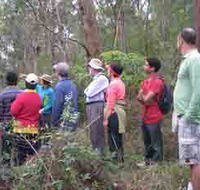 Boronia Tours - Darwin Holiday