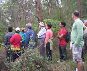 Boronia Tours - Darwin Holiday 0