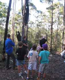 Boronia Tours - Darwin Holiday 1