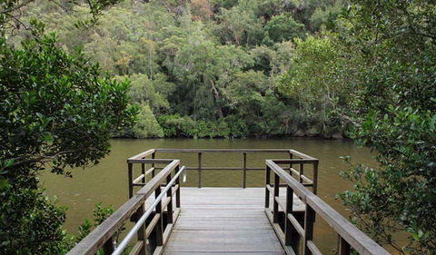 Berowra Valley National Park - Darwin Holiday 0