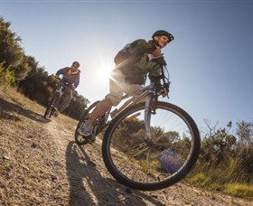 Royal National Park - Darwin Holiday 1