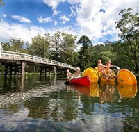 Royal National Park - Darwin Holiday