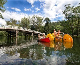 Royal National Park - Darwin Holiday 0