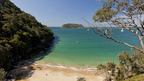 Ku-ring-gai Chase National Park - Darwin Holiday 2