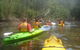 Southern Cross Kayaking - Hawkesbury - thumb 2