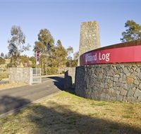 Lizard Log - Darwin Holiday