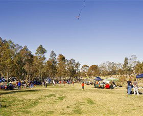 Lizard Log - Darwin Holiday 1