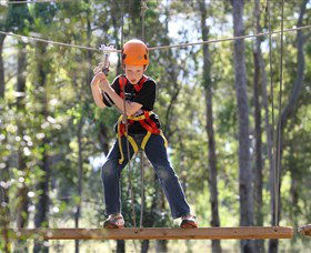 TreeTop Adventure Park Sydney - Darwin Holiday 1