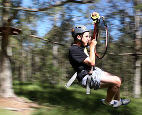 TreeTop Adventure Park Sydney - Darwin Holiday 0