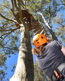 TreeTop Adventure Park Sydney - Darwin Holiday 3