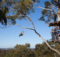 TreeTop Safari - Darwin Holiday