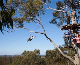 TreeTop Safari - Darwin Holiday 0