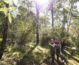 TreeTop Safari - Darwin Holiday 4