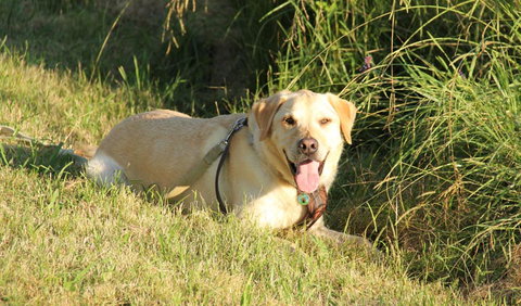 Rouse Hill Regional Park - Darwin Holiday 1