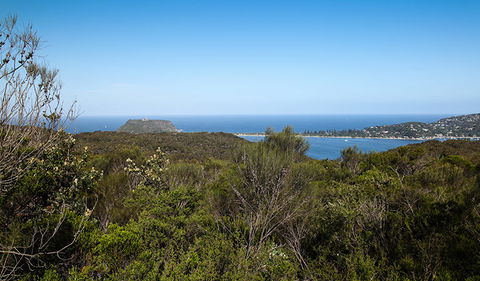 Aboriginal Heritage Walk - Darwin Holiday 1
