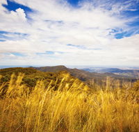 Muogamarra Nature Reserve - Darwin Holiday
