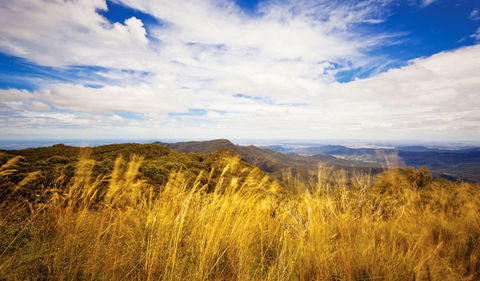 Muogamarra Nature Reserve - Darwin Holiday 0