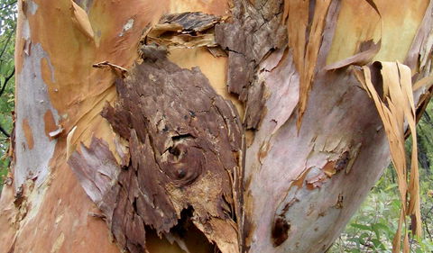 Muogamarra Nature Reserve - Darwin Holiday 2