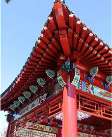 Chang Lai Yuan Chinese Gardens - Darwin Holiday 0