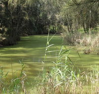 Second Ponds Creek walk - Darwin Holiday