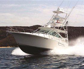 1300 Big Fish - Darwin Holiday 0