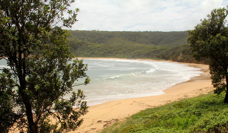 Bouddi NSW Darwin Holiday