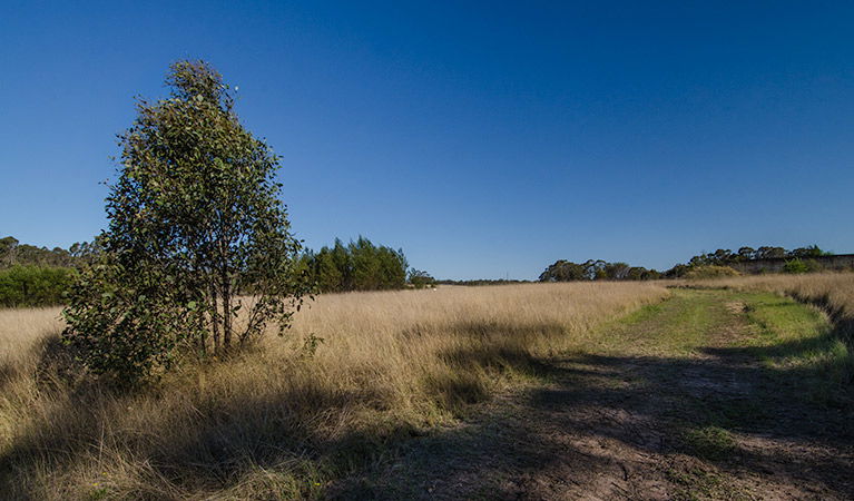 Oakville NSW Darwin Holiday