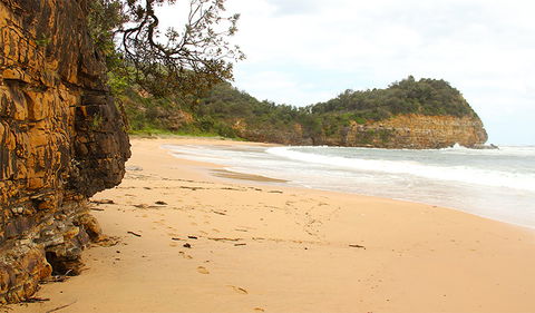 Bouddi Coastal Walk - Darwin Holiday 1