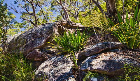 Canoelands Ridge Walking Track - Darwin Holiday 1