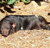 Symbio Wildlife Park - Darwin Holiday