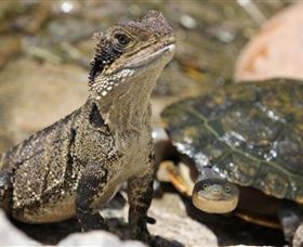 Symbio Wildlife Park - Darwin Holiday 3