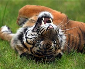 Symbio Wildlife Park - Darwin Holiday 6