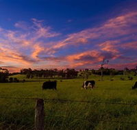 Made in Macarthur Food and Wine Tours - Darwin Holiday