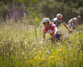 The Australian Botanic Garden Mount Annan - Darwin Holiday 2