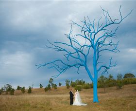 The Australian Botanic Garden Mount Annan - Darwin Holiday 5