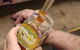 Blue Mountains Honey Company - The Honey Shed - thumb 1