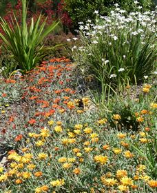 Mt Penang Gardens - Darwin Holiday 4