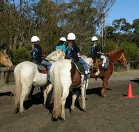 Darkes Forest Riding Ranch - Darwin Holiday