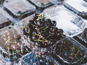 Adelaide Farmers' Market Showground - Darwin Holiday 1