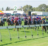 Morphettville Racecourse - Darwin Holiday