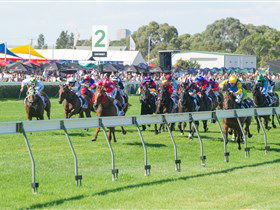 Morphettville Racecourse - Darwin Holiday 0