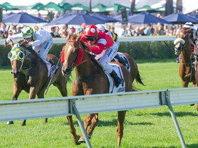 Morphettville Racecourse - Darwin Holiday 2
