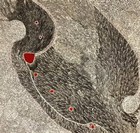 Marshall Arts - Darwin Holiday