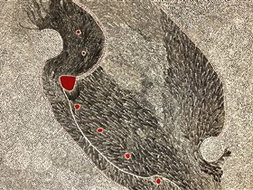 Book Adelaide SA Attractions Darwin Holiday Darwin Holiday