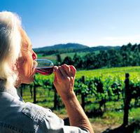 Ashton Hills Vineyard - Darwin Holiday