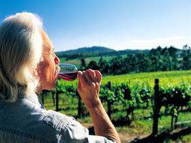 Ashton Hills Vineyard - Darwin Holiday 0