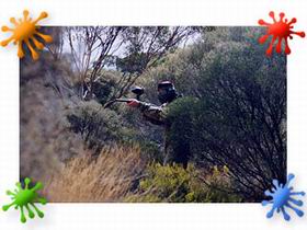 Paintball Skirmish SA - Darwin Holiday 2