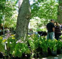 The Stirling Market - Darwin Holiday