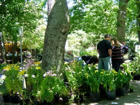 The Stirling Market - Darwin Holiday 0